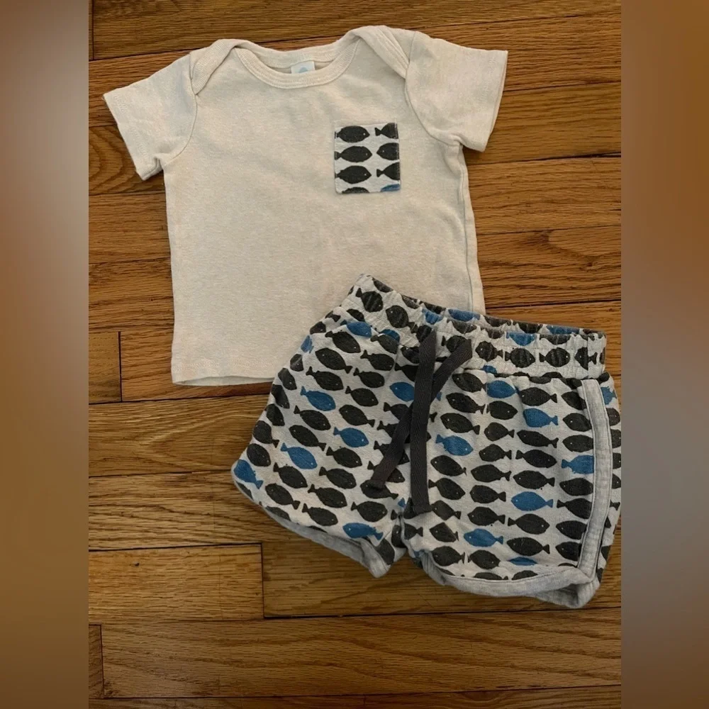 Stem | shorts and short sleeve shirt | baby boy 6mo